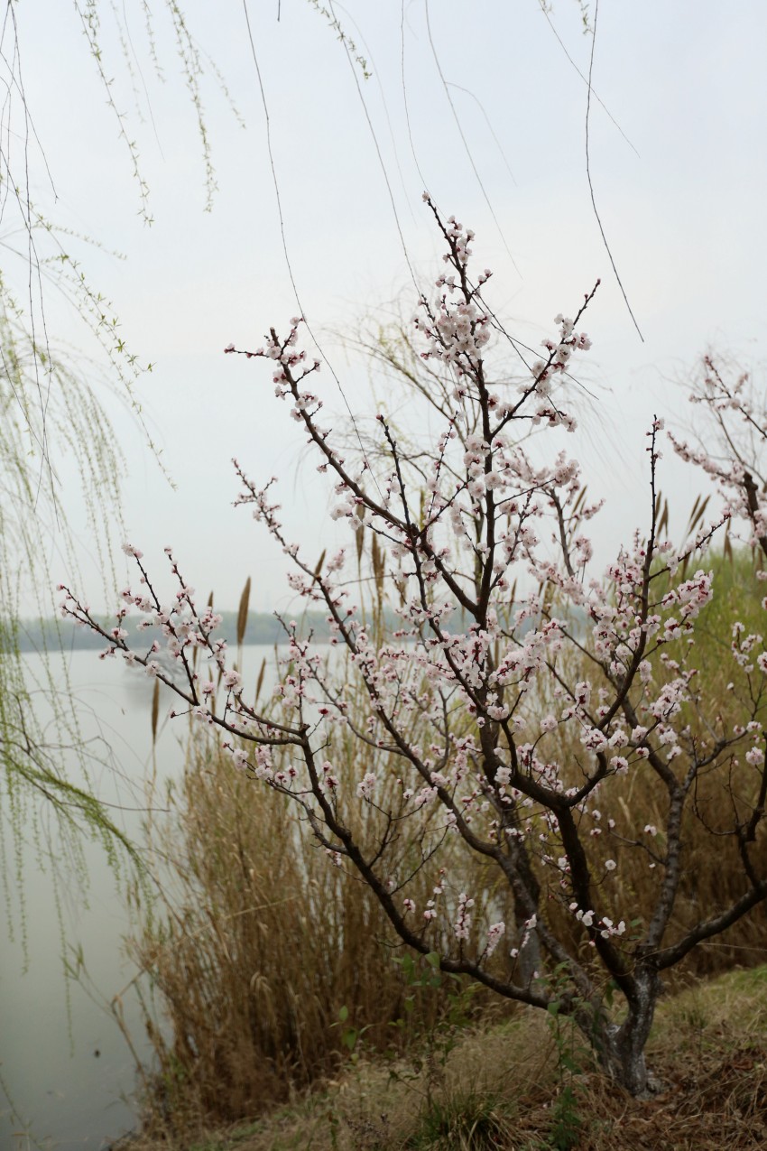 C24T3755_conew2.jpg