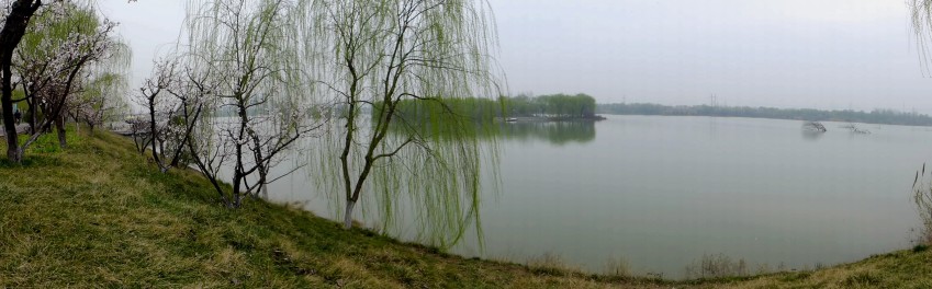 L1290092_conew2.jpg