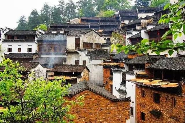 2735ace51f09bdaa812c0218e87e7ae8.jpg 2735ace51f09bdaa812c0218e87e7ae8.jpg