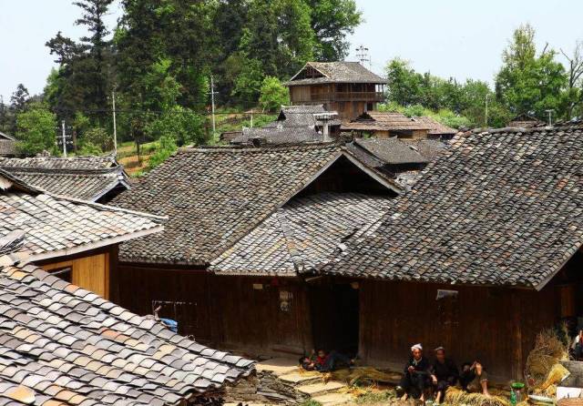 d783af1254c0e60a5255cb3e1a5a01b2.jpg d783af1254c0e60a5255cb3e1a5a01b2.jpg