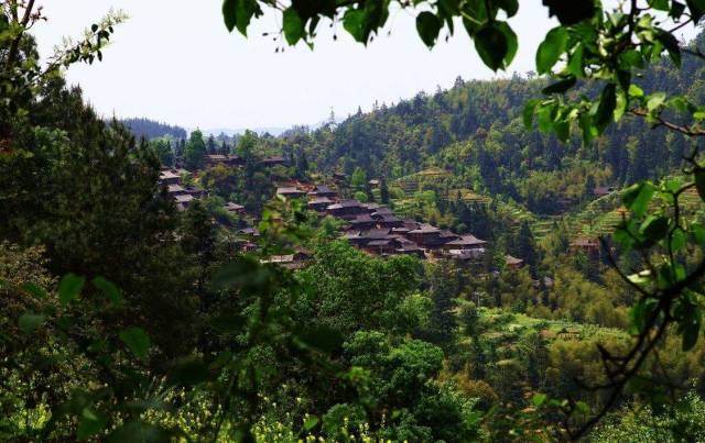 714aff5a26bd00204c95cf28360bb780.jpg 714aff5a26bd00204c95cf28360bb780.jpg