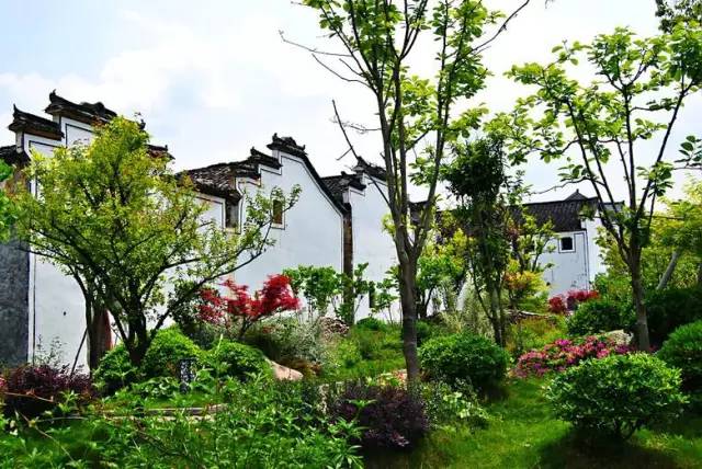 89e918e28ae576a66e3c698a47664ee3.jpg 89e918e28ae576a66e3c698a47664ee3.jpg