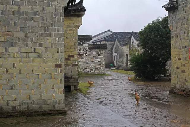 644768c265f8e1dc14178f4211751288.jpg 644768c265f8e1dc14178f4211751288.jpg