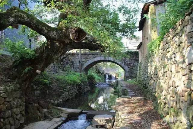 c55b6b61591f047d208274cdc05a511d.jpg c55b6b61591f047d208274cdc05a511d.jpg