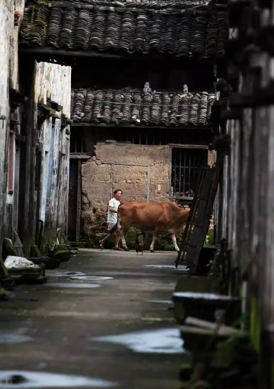 ac56e44b794407881d5ca2e494c853cc.jpg ac56e44b794407881d5ca2e494c853cc.jpg