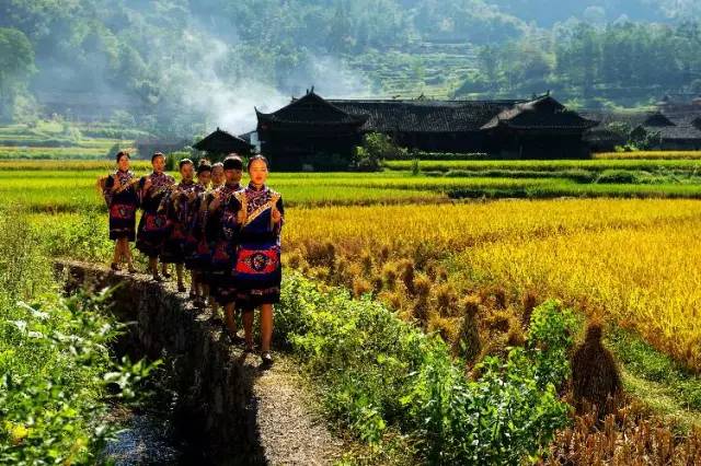 afe54955bed741f2328f060671de59f4.jpg afe54955bed741f2328f060671de59f4.jpg