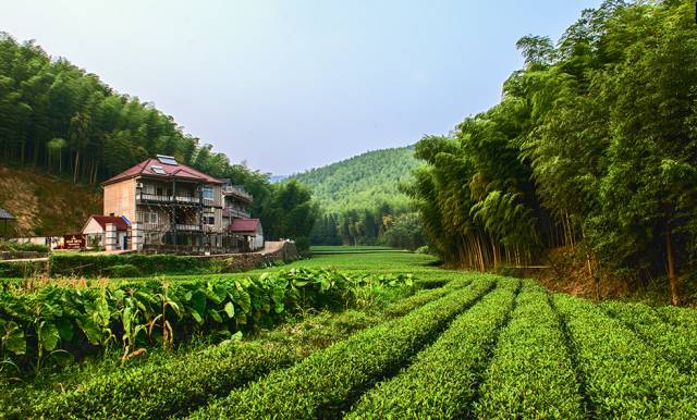 4193dbc78866ea73f7221163ba31777f.jpg 4193dbc78866ea73f7221163ba31777f.jpg