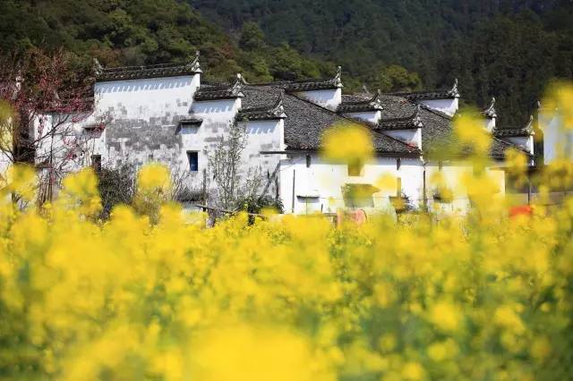 1949b8b823ad84a91fd91d01b94a7d12.jpg 1949b8b823ad84a91fd91d01b94a7d12.jpg