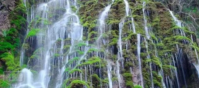 f773a31559b2e3cc36606b44f14263a3.jpg f773a31559b2e3cc36606b44f14263a3.jpg