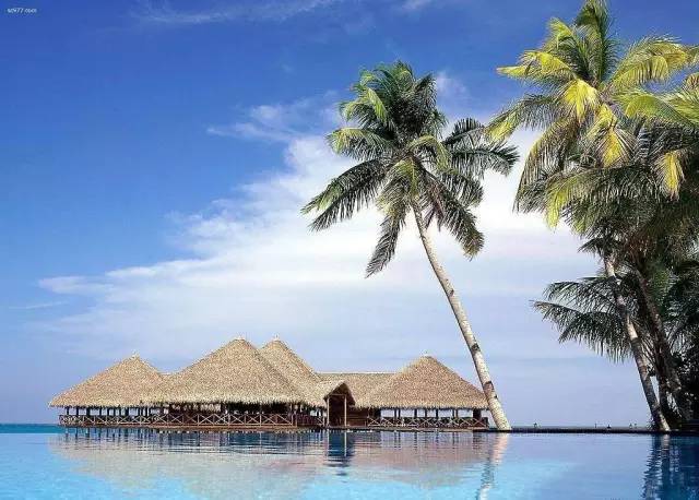 58b453703150e6f0959cee22d0b673c1.jpg 58b453703150e6f0959cee22d0b673c1.jpg