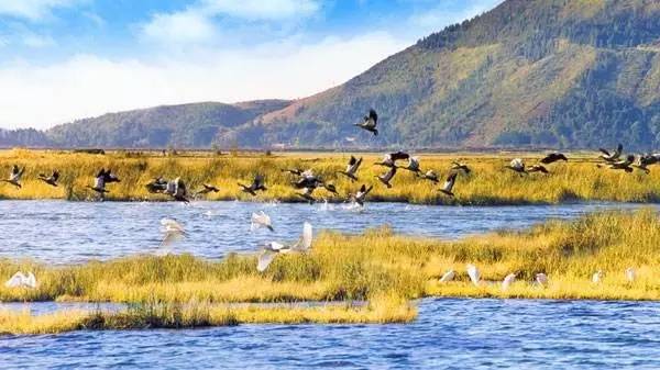 778ab0cca56fe1082d7480a320278b24.jpg 778ab0cca56fe1082d7480a320278b24.jpg