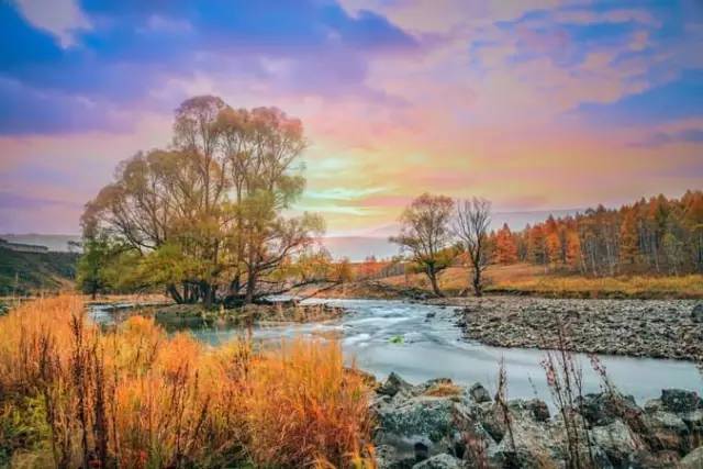 ade6028201c5cad926acaec44cab4ca1.jpg ade6028201c5cad926acaec44cab4ca1.jpg