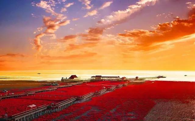 9a0c528305c686b8350ec61b425ce11e.jpg 9a0c528305c686b8350ec61b425ce11e.jpg