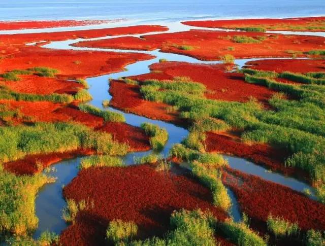 6a73c56f9873bb9fd943c97cb1a3285d.jpg 6a73c56f9873bb9fd943c97cb1a3285d.jpg