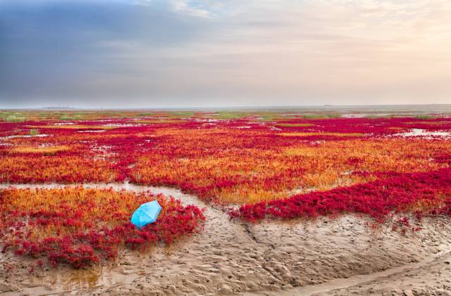 714558dc291406a17017d6a2b7266968.jpg 714558dc291406a17017d6a2b7266968.jpg