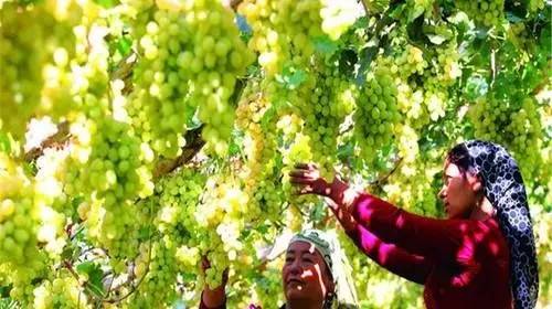 db661beaae0fae4474b073c25960cb02.jpg db661beaae0fae4474b073c25960cb02.jpg