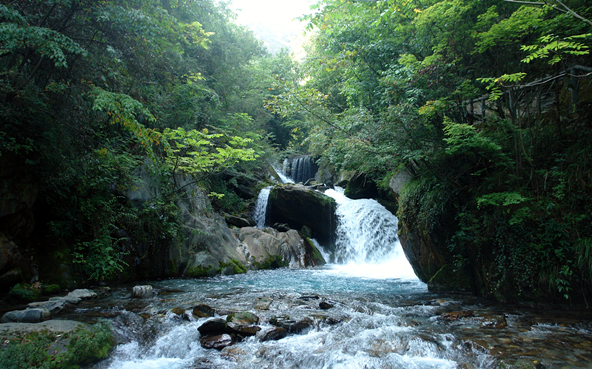DSC02184_副本.jpg