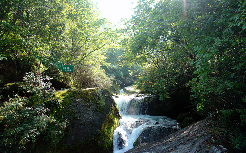 DSC02239_副本.jpg