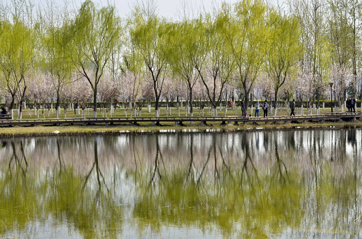 _DSC3336_副本.jpg
