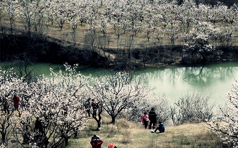 DSC00282_副本.jpg