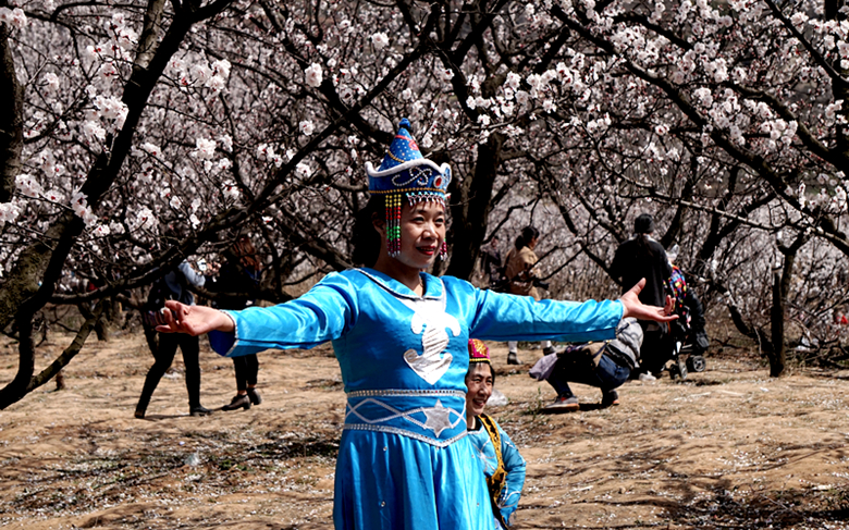 DSC00241_副本.jpg