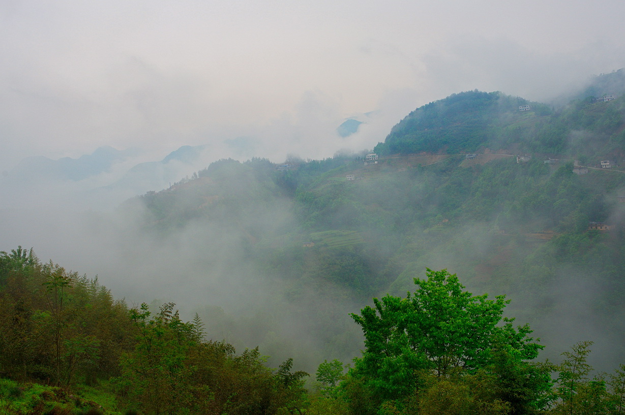DSC_1465.jpg