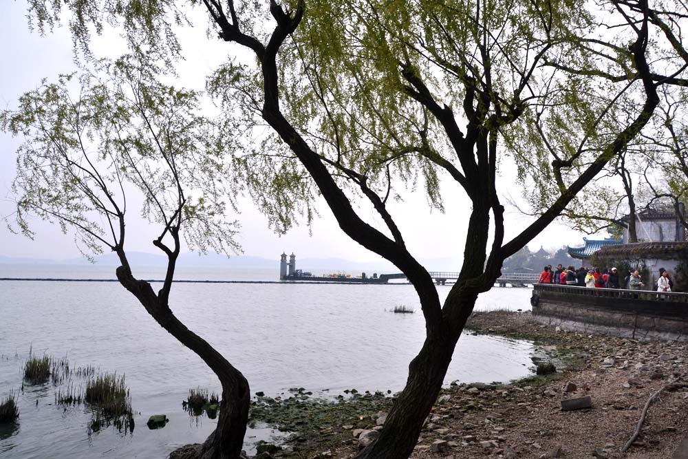 太湖 仙岛 (18).jpg