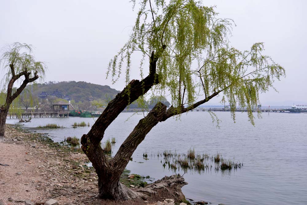 太湖 仙岛 (36).jpg