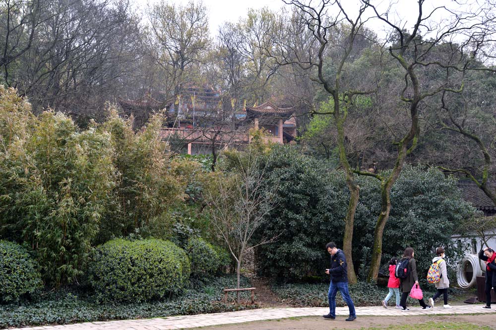 太湖 仙岛 (40).jpg