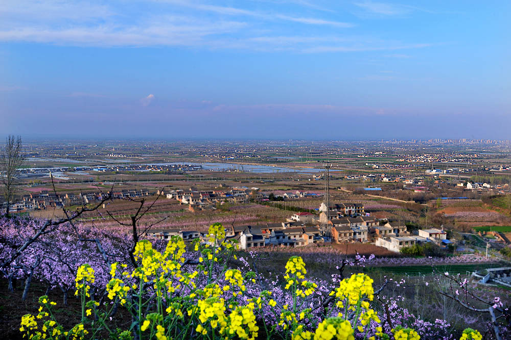 东岭桃花 (22).jpg