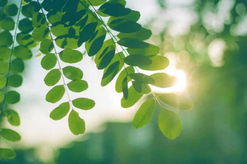 75c41bec0745442fb5dceada12f77de1.jpg 75c41bec0745442fb5dceada12f77de1.jpg