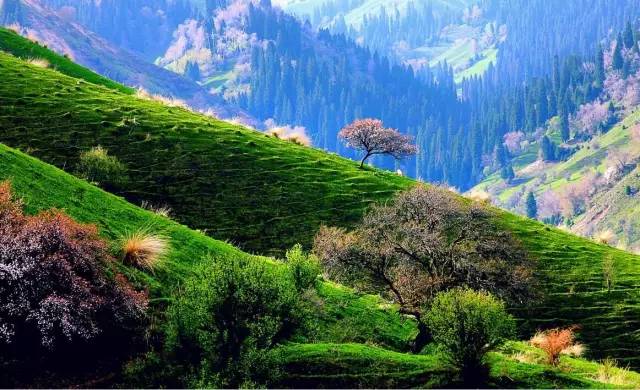 336317438a1223016ebf62b318463574.jpg 336317438a1223016ebf62b318463574.jpg