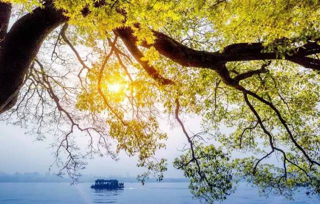 08f60192f03efb8bea73f7bdf0b5d42e.jpg 08f60192f03efb8bea73f7bdf0b5d42e.jpg