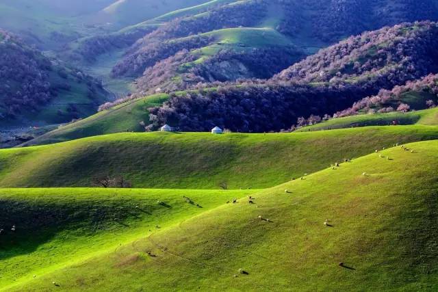 b33d4b3ade5f1934e82dda59b77701b4.jpg b33d4b3ade5f1934e82dda59b77701b4.jpg