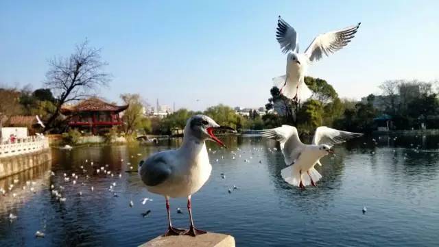 d425f918ec5b973359d848e97cef4cb7.jpg d425f918ec5b973359d848e97cef4cb7.jpg