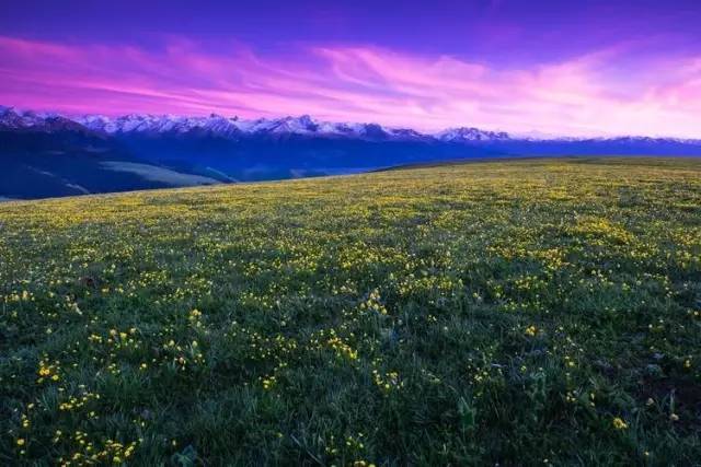 6431c14ff38141e4a2976f8579a4ad6d.jpg 6431c14ff38141e4a2976f8579a4ad6d.jpg