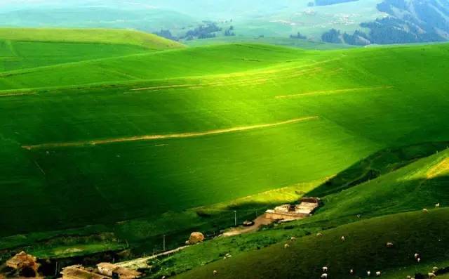 2f3bb94797777396d25cb1449669108a.jpg 2f3bb94797777396d25cb1449669108a.jpg