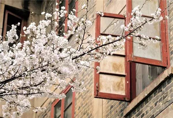 99e04d7dfeeb98debb6c807c94b114b0.jpg 99e04d7dfeeb98debb6c807c94b114b0.jpg