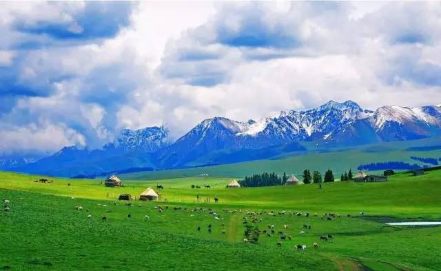 ccb799dfbe3c6d03e87fbba00b52a061.jpg ccb799dfbe3c6d03e87fbba00b52a061.jpg