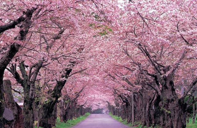 0db89bc3b689ba196776e94278d5253a.jpg 0db89bc3b689ba196776e94278d5253a.jpg