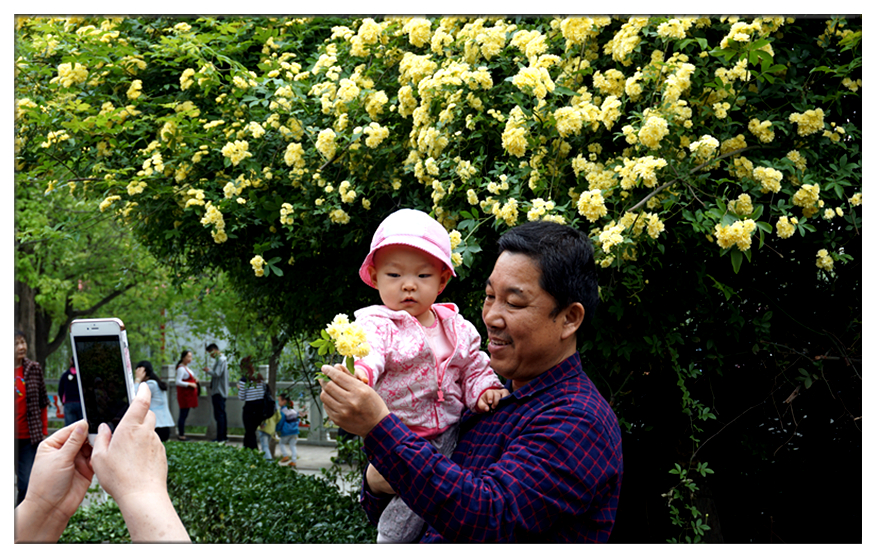 DSC00097_副本.jpg