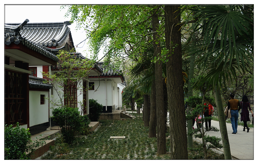 DSC00104_副本.jpg