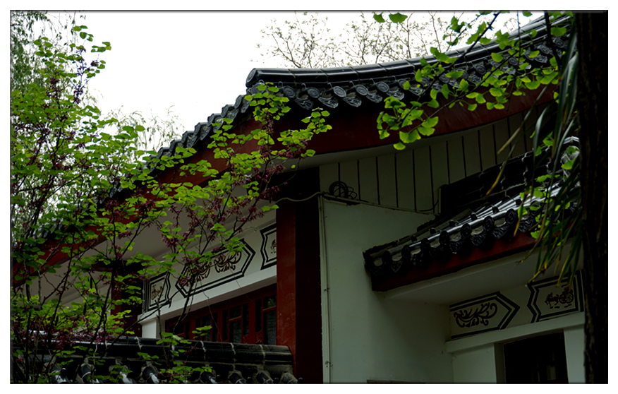 DSC00106_副本.jpg