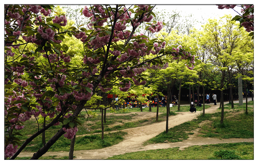 DSC00107_副本.jpg