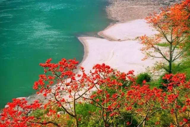 5f5c5d2fe97c997fa66ff040ab78f6a9.jpg 5f5c5d2fe97c997fa66ff040ab78f6a9.jpg