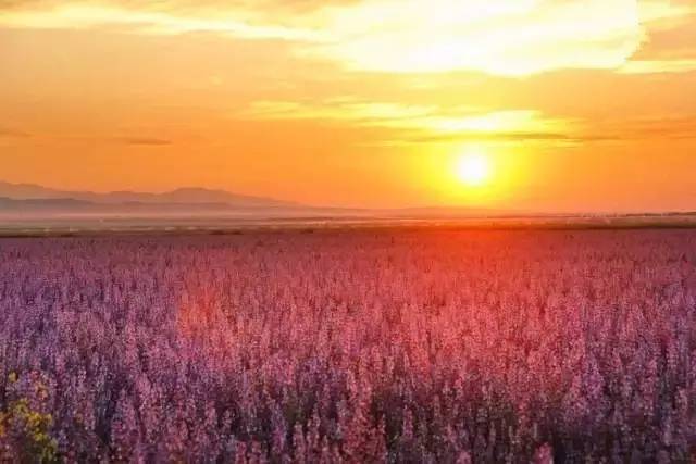 891a1c5526ac913cffc5e0bdfe10c9a1.jpg 891a1c5526ac913cffc5e0bdfe10c9a1.jpg