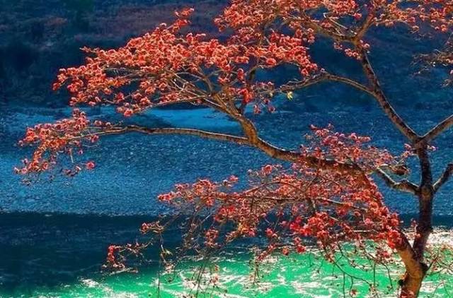 4058158387df6db6db62dc4689ad0f22.jpg 4058158387df6db6db62dc4689ad0f22.jpg