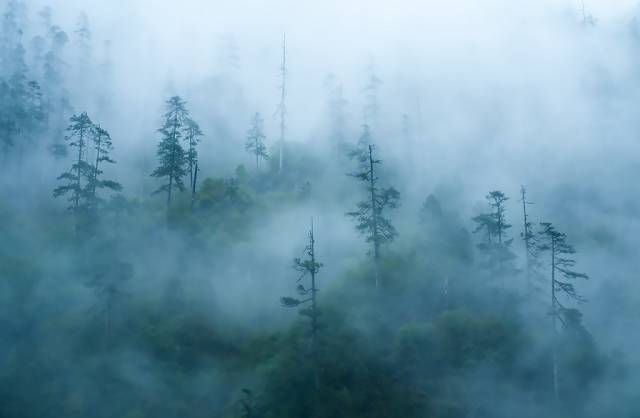 5c818e90f41e40641c025b1b5db5ec91.jpg 5c818e90f41e40641c025b1b5db5ec91.jpg