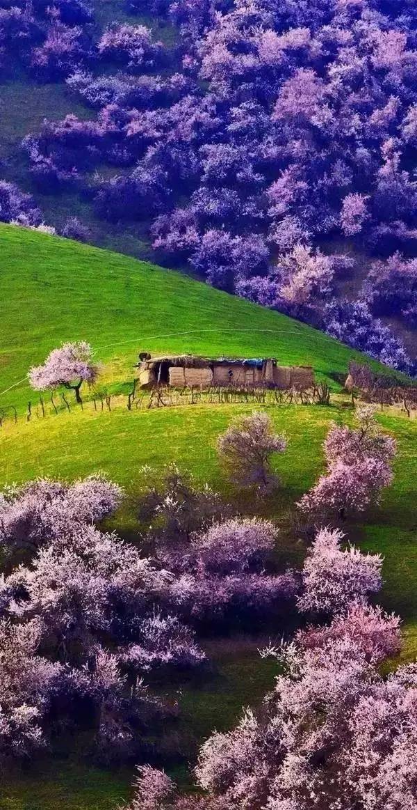 2db02c761e350493103bca74b0062cd2.jpg 2db02c761e350493103bca74b0062cd2.jpg