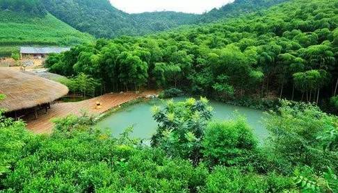 5a390035b42988b63ea8649e7c6e803a.jpg 5a390035b42988b63ea8649e7c6e803a.jpg